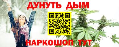 ECSTASY Новодвинск