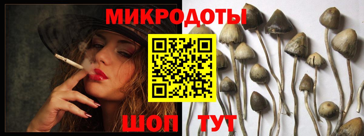 Галлюциногенные грибы MAGIC MUSHROOMS Тара
