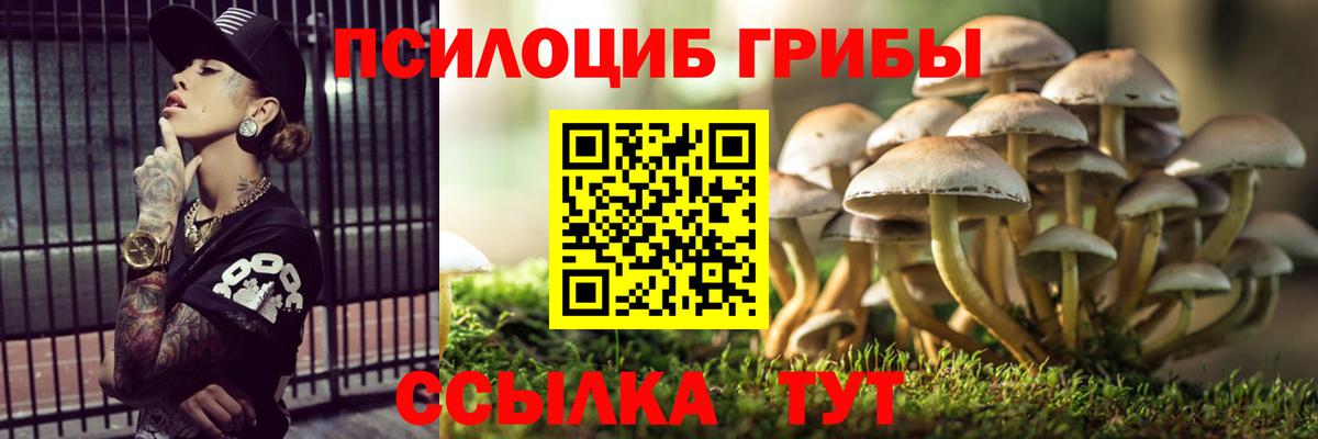Тара  купить наркоту  Вход с VPN  Галлюциногенные грибы ЛСД 